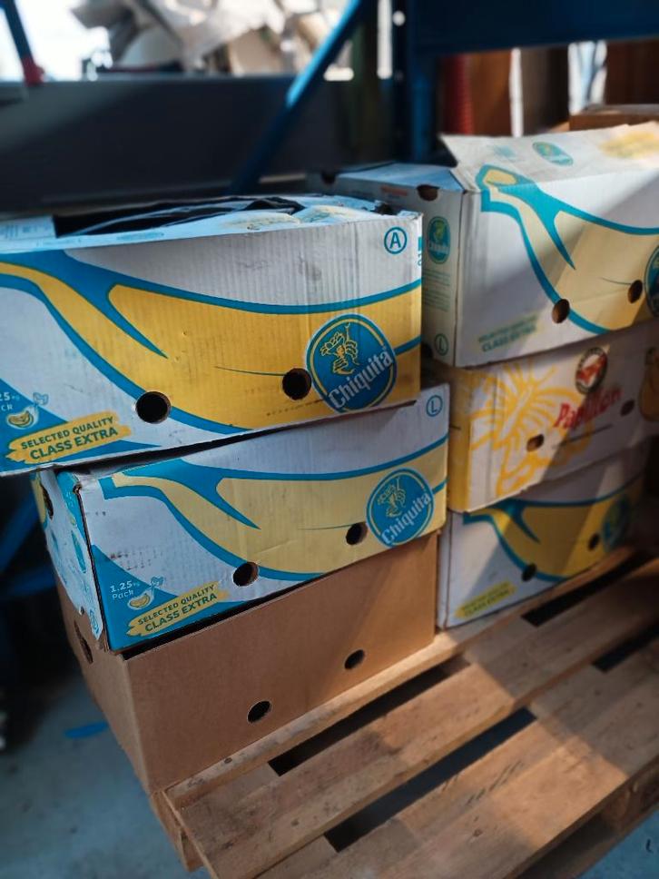 Harley Davidson motorkleding., Motos, Vêtements | Vêtements de moto, Enlèvement