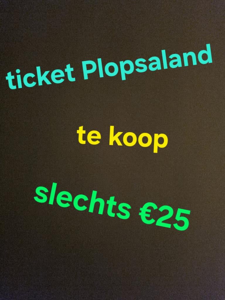 Ticket plopsland de panne te koop, Une personne