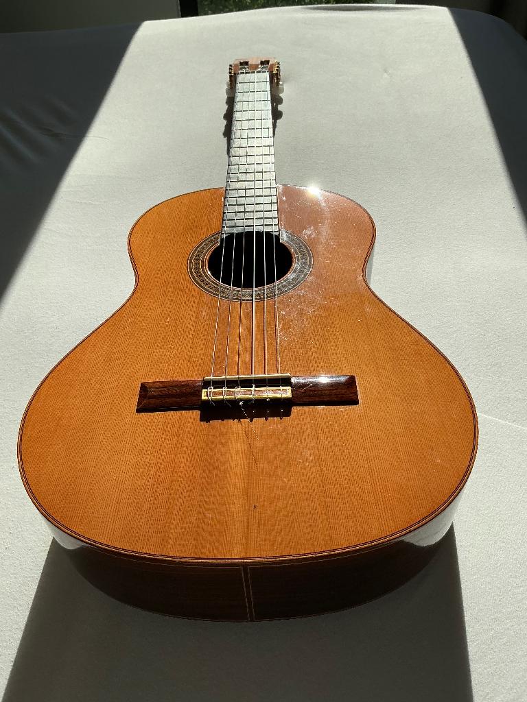 Guitare classique, Enlèvement, Utilisé