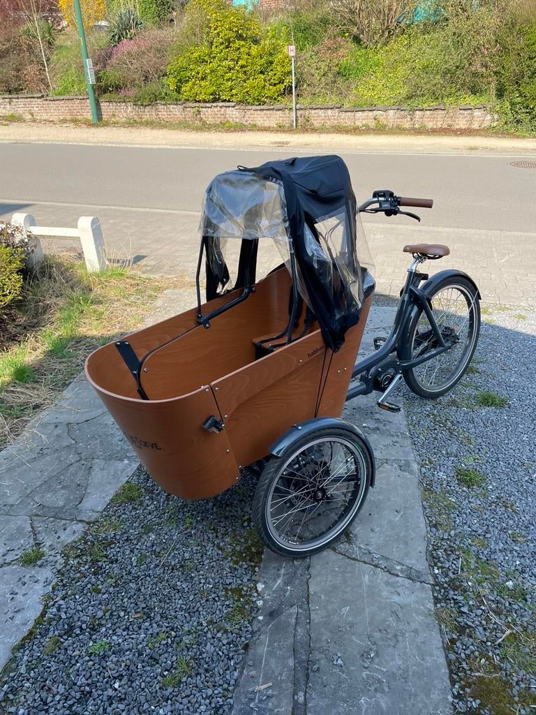 Vélo cargo Babboe Carve Mountain, Vélos & Vélomoteurs, Enlèvement, Comme neuf, 2 enfants, Électrique