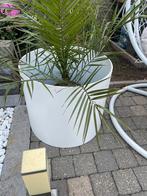 Plantenbak 2 stuks, Tuin en Terras, Ophalen, Zo goed als nieuw