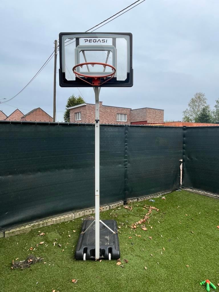 Basketbalring Pegasi, Sports & Fitness, Basket, Enlèvement, Utilisé, Anneau, Panneau ou Poteau