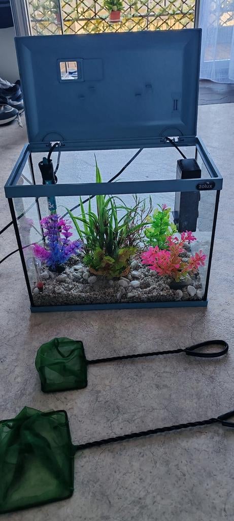 Aquarium 20L, Animaux & Accessoires