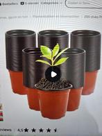 bloempotten, Ophalen, Gebruikt, Kunststof