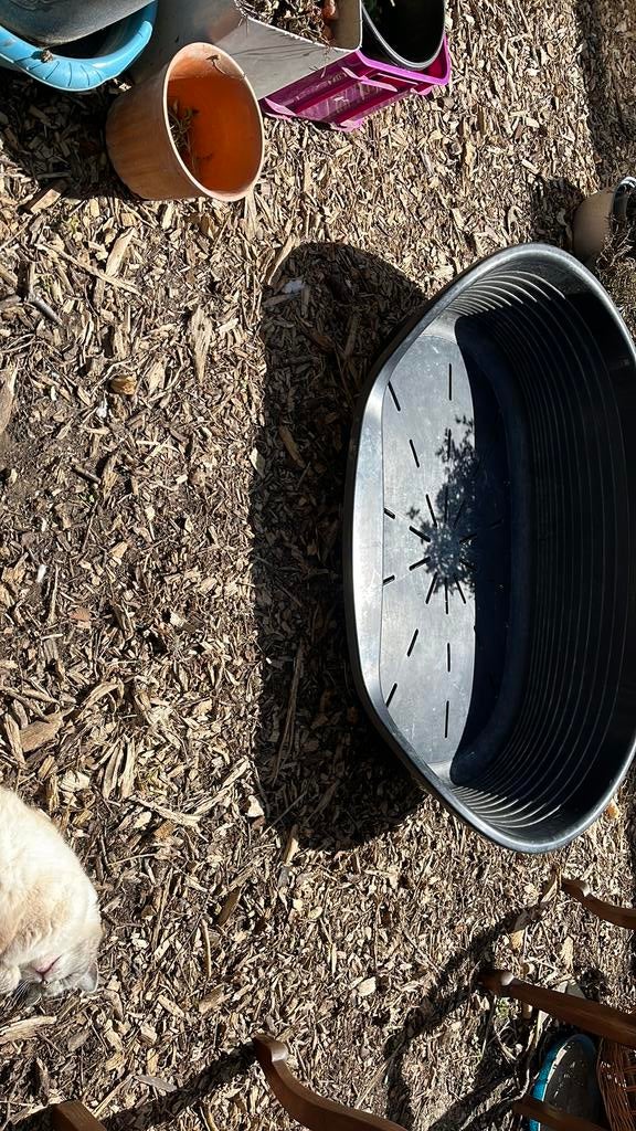 Panier chien, Jardin & Terrasse, Terre & Fumier, Enlèvement