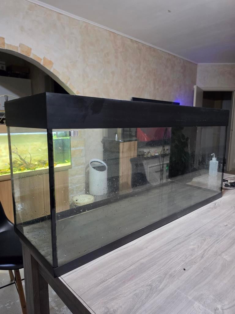 Juwel rio 240, Aquarium d'eau douce rempli, Couvercle inclus, Enlèvement, Utilisé