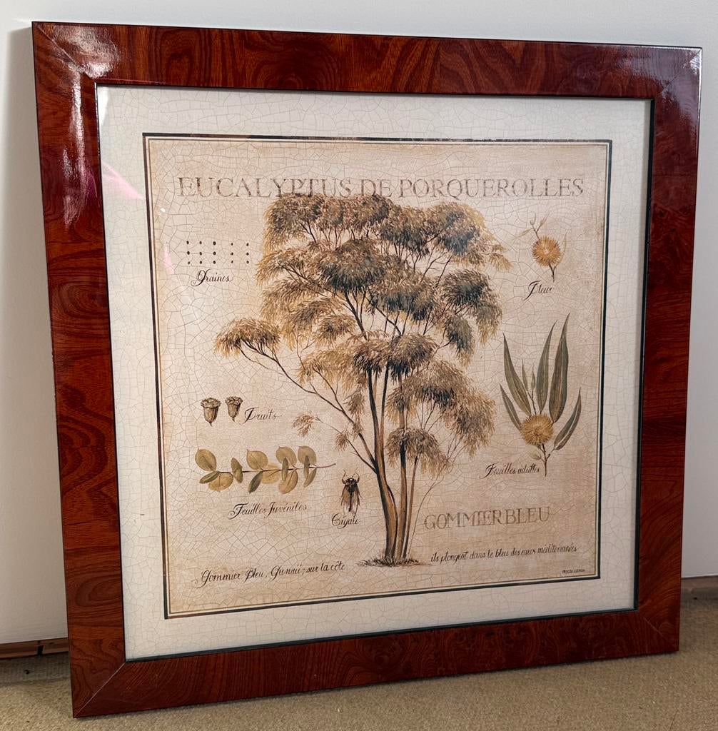 Cadre en acajou, Maison & Meubles, Enlèvement, Comme neuf