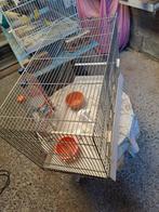 Grande Cage d'élevage oiseaux, Animaux & Accessoires, Enlèvement, Cage d'élevage
