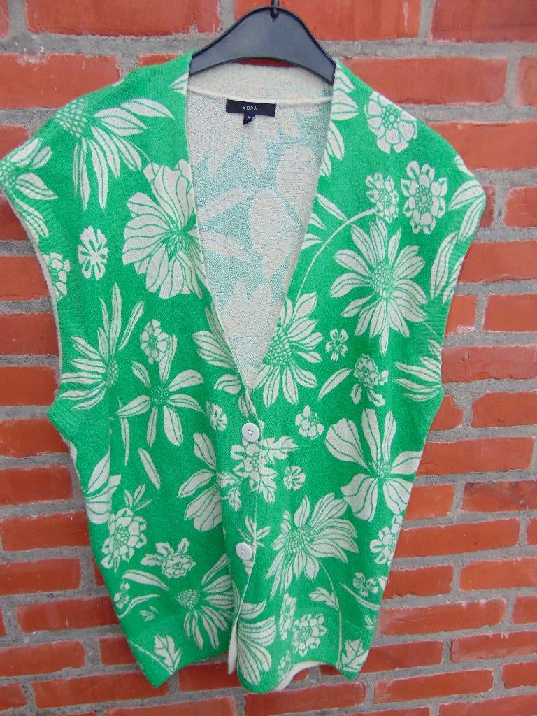 Vestje zonder mouwen in prima staat, Kleding | Dames, Truien en Vesten, Ophalen of Verzenden, Gedragen, Maat 42/44 (L), Groen