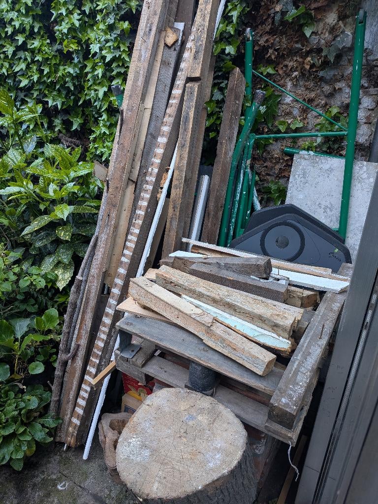 GRATIS afvalhout, Moins de 3 m³, Enlèvement, Bouleau, Branches