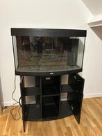 Aquarium juwel vision 260 (liter) inclusief meubel, Dieren en Toebehoren, Ophalen, Gebruikt, Leeg aquarium