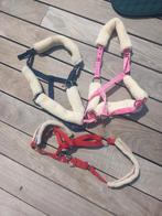 Meerdere halsters, Enlèvement ou Envoi, Comme neuf, Autres espèces