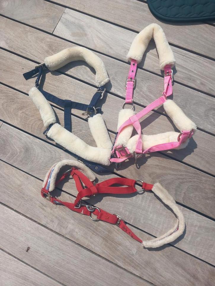 Meerdere halsters, Dieren en Toebehoren, Paarden en Pony's | Hoofdstellen en Tuigage, Zo goed als nieuw, Overige soorten, Ophalen of Verzenden