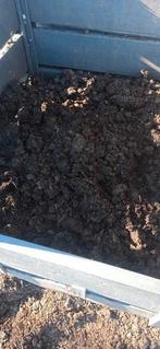 Gratis Paardenmest, Enlèvement