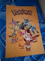 Pokemon Eevee Evolution Poster 61x91,5cm, Kinderen en Baby's, Ophalen of Verzenden, Zo goed als nieuw