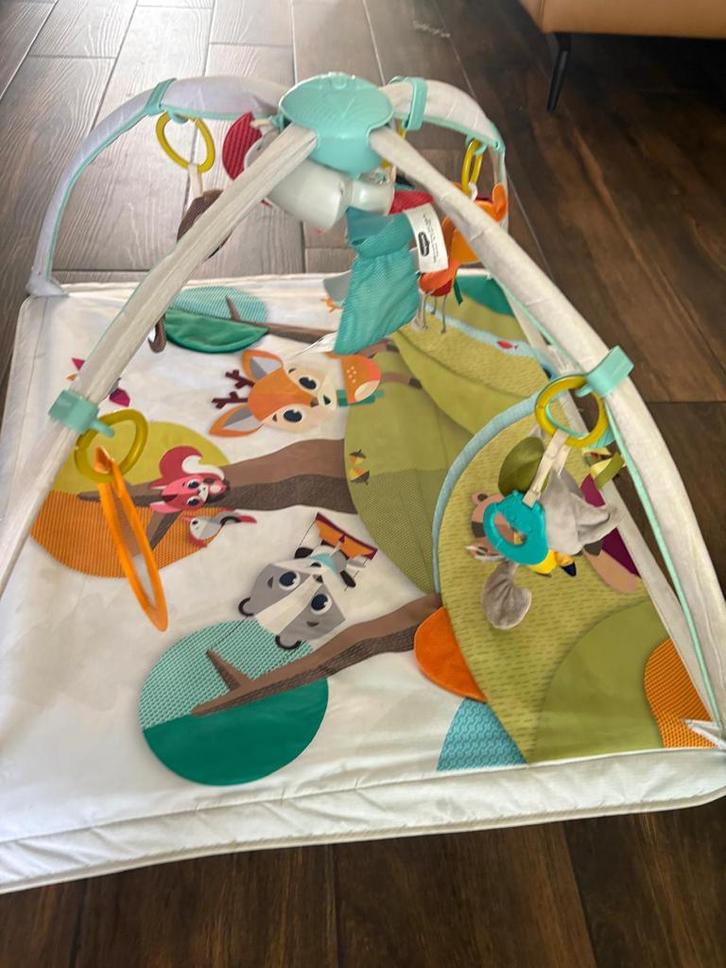 Speelmat/babygym Tiny love, Kinderen en Baby's, Speelgoed | Speelkleden, Gebruikt, Ophalen