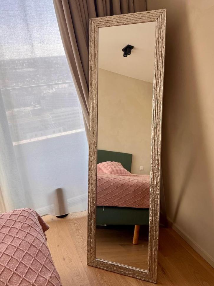 Groot spiegel in zilveren houten lijst, Huis en Inrichting, Woonaccessoires | Spiegels, Zo goed als nieuw, 50 tot 75 cm, 150 tot 200 cm