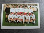 VOETBAL FC ANTWERP TEAM 1962 1963 zeldzaam maple leaf gum, Verzenden, Zo goed als nieuw