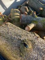 Gratis spar houd, Tuin en Terras, Brandhout, Ophalen