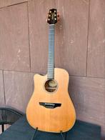 Takamine EN10C-LH inclusief koffer (lefty), Muziek en Instrumenten, Ophalen, Gebruikt, Western- of Steelstringgitaar, Met koffer