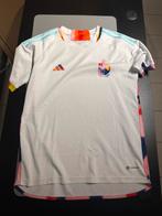 Truitje van Belgie maat Medium ok, Kleding | Heren, Ophalen, Zo goed als nieuw