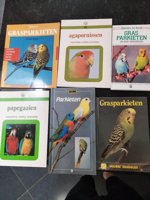 Boeken over parkieten/Papegaaien/Agapornissen, Boeken, Kunst en Cultuur | Beeldend, Zo goed als nieuw, Overige onderwerpen, Ophalen