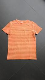 Gestreepte T-shirt van American Outfitters (maat 164), Jongen, Gebruikt, Ophalen of Verzenden, Shirt of Longsleeve