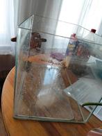 Aquarium 40liter, Dieren en Toebehoren, Ophalen, Zo goed als nieuw