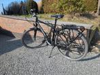 Herenfiets Trek Daytona, Fietsen en Brommers, Ophalen, Gebruikt, Overige merken, Versnellingen