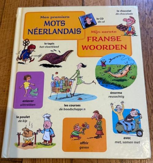boek „Mijn eerste Nederlandse woorden — ik slaag”, Boeken, Schoolboeken, Gelezen, Nederlands, BSO, Ophalen of Verzenden