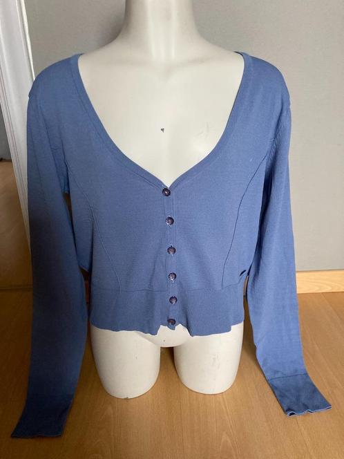 Cardigan voor vrouwen Marie Méro, Vêtements | Femmes, Pulls & Gilets, Neuf, Taille 38/40 (M), Bleu, Enlèvement ou Envoi