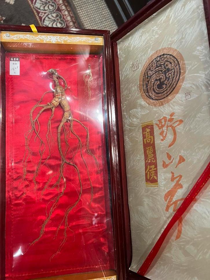 Carotte orientale/ARTICLE DE COLLECTION, Antiquités & Art, Antiquités | Objets religieux, Enlèvement