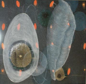 Brendan Kelly (1970): Flotsam 2005 (O/D, 59 x 58 cm)
