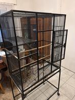 Kooi voor vogel / cage pour oiseaux, Ophalen, Gebruikt, Vogelkooi