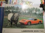 lamborghini, Boeken, Auto's | Folders en Tijdschriften, Ophalen, Zo goed als nieuw, Overige merken, Divers