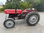 Tractor Massey Ferguson 135 in zeer goede staat, Zakelijke goederen, Ophalen, Oldtimer, Massey Ferguson