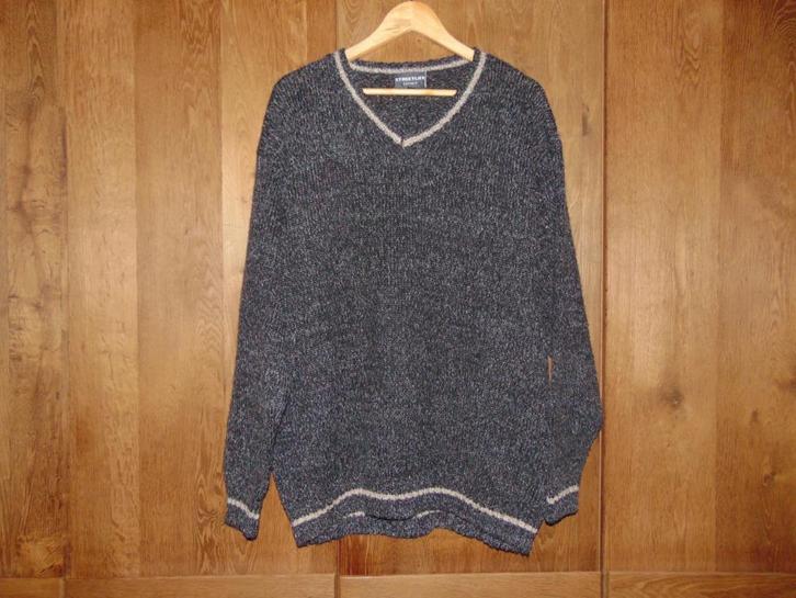 Trui V-hals met wol, Kleding | Heren, Truien en Vesten, Zo goed als nieuw, Maat 56/58 (XL), Grijs, Ophalen of Verzenden
