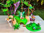 Playmobil elfen, Ophalen of Verzenden, Zo goed als nieuw, Complete set