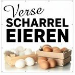 verse scharrel eieren, Enlèvement