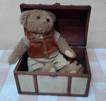 Teddybeer in reiskofferttje beschikbaar voor biedingen