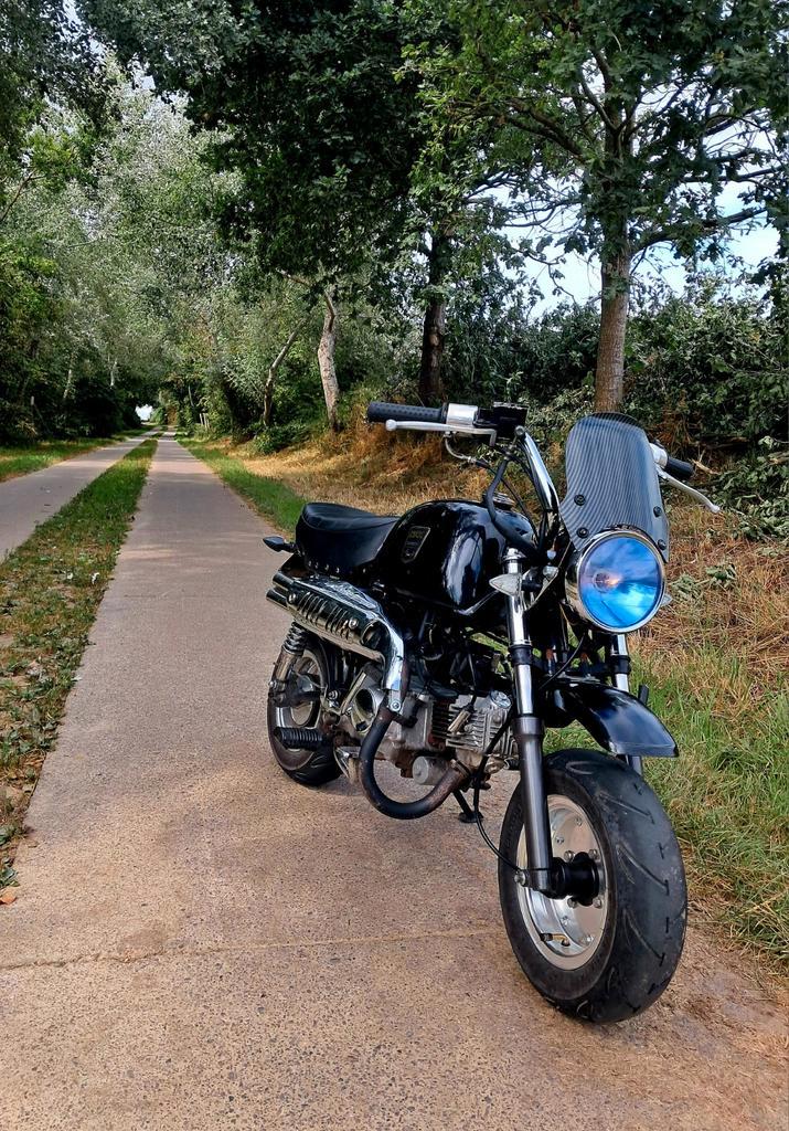 Dax gorilla, Fietsen en Brommers, Brommers | Honda, Ophalen