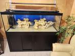 Aquarium, Animaux & Accessoires, Poissons | Aquariums & Accessoires, Enlèvement, Utilisé, Aquarium vide