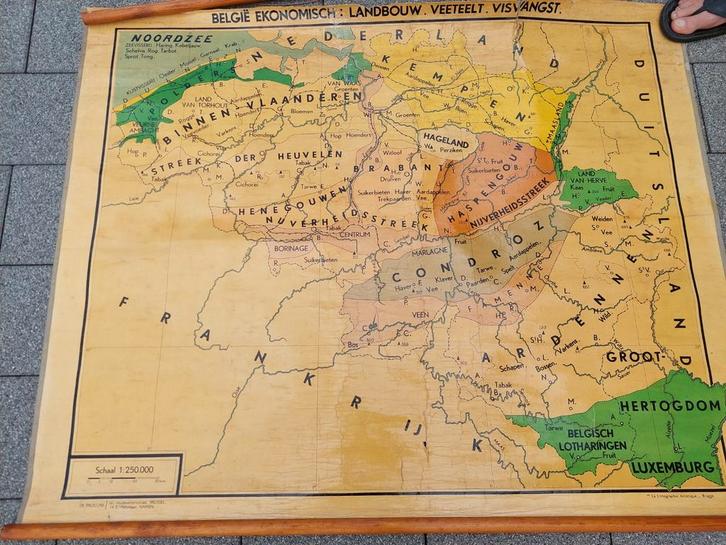 Wandkaart België economisch + nijverheid dubbel bedrukt, Antiek en Kunst, Antiek | Schoolplaten, Ophalen