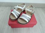 Nieuwe sandalen Clarys maat 23, Nieuw, Meisje, Ophalen