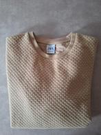 Zara style Trui, Vêtements | Hommes, Pulls & Vestes, Enlèvement, Comme neuf