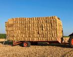 Kleine balen stro, Zakelijke goederen, Landbouw | Veevoer, Ophalen