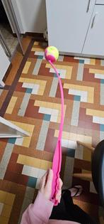 Stok met bal, Dieren en Toebehoren, Ophalen