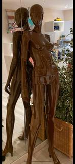 Mannequins anciens, Enlèvement