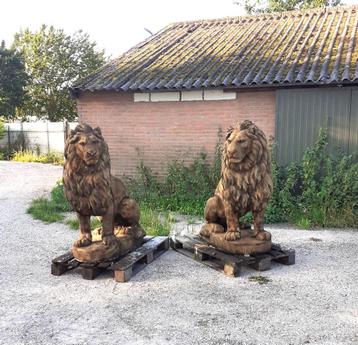 Set grote oud roestlook leeuwen beschikbaar voor biedingen