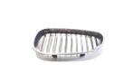 GRILLEROOSTER LINKS BMW 5 serie Touring (E61), Gebruikt, Links, BMW